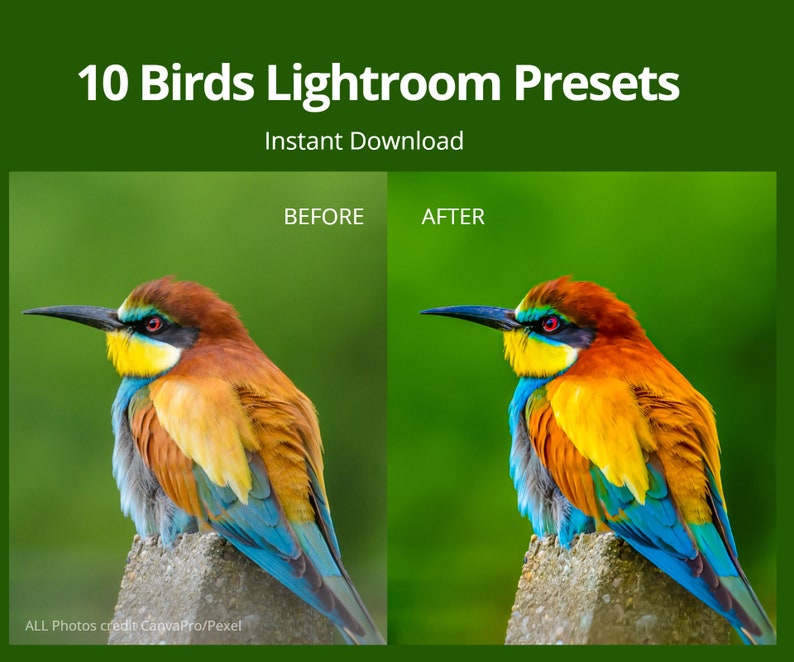 10 Lightroom Presets  Photo Presets  Wildlife Photography Presets  Bird Photography   Digital Download