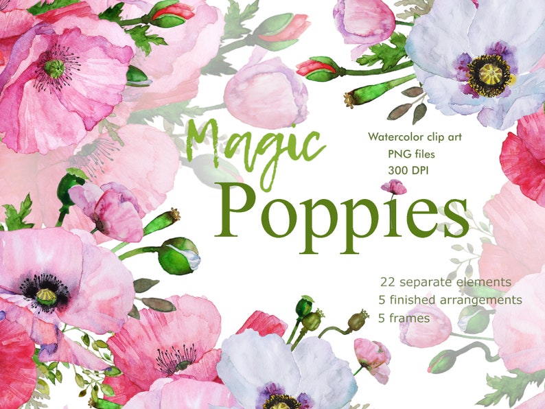 Flowers PNG  Poppies  Watercolor clipart  Floral arrangement  Printable Sublimation Design  Digital Download  300 DPI