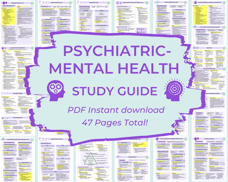 Psychiatric Mental Health Study Guide  Nursing student study guide  Psychotropic Drugs  Digital Download