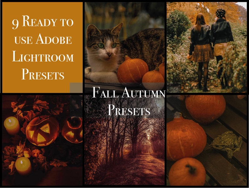 DIGITAL DOWNLOAD   9 Lightoom Presets  Autumn presets  Fall presets  Halloween Preset  moody warm preset  VSCO Filter  Instagram