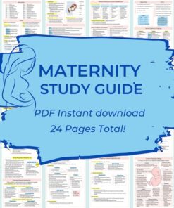 OB  Maternity Study Guide  Nursing student study guide  Labor and Delivery  Digital Download