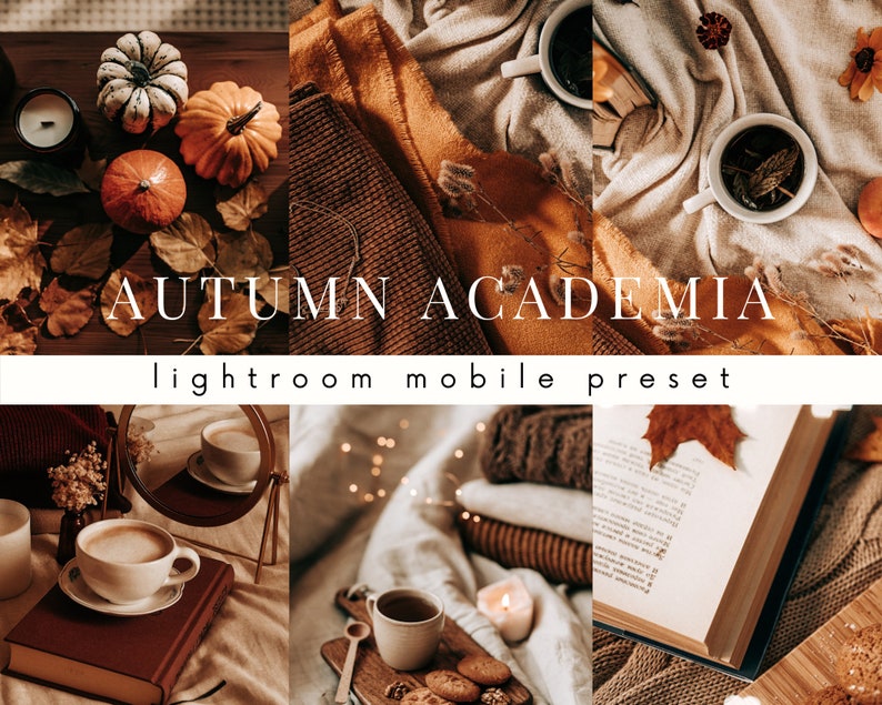 Aesthetic Lightroom Mobile Preset  Autumn Academia  Bookstagram filters  Instagram  cozy  vintage  autumn  fall  cozy  moody  dark