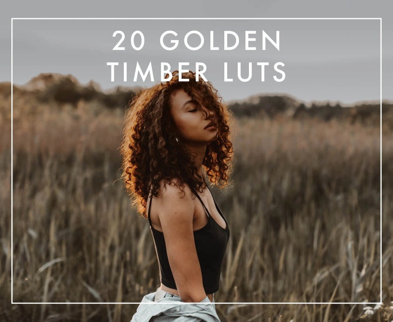 20 GOLDEN TIMBER LUTs  Photo and Video  Mobile  Desktop  Video Presets  Lightroom  Premiere Pro  Lumafusion Final Cut Pro