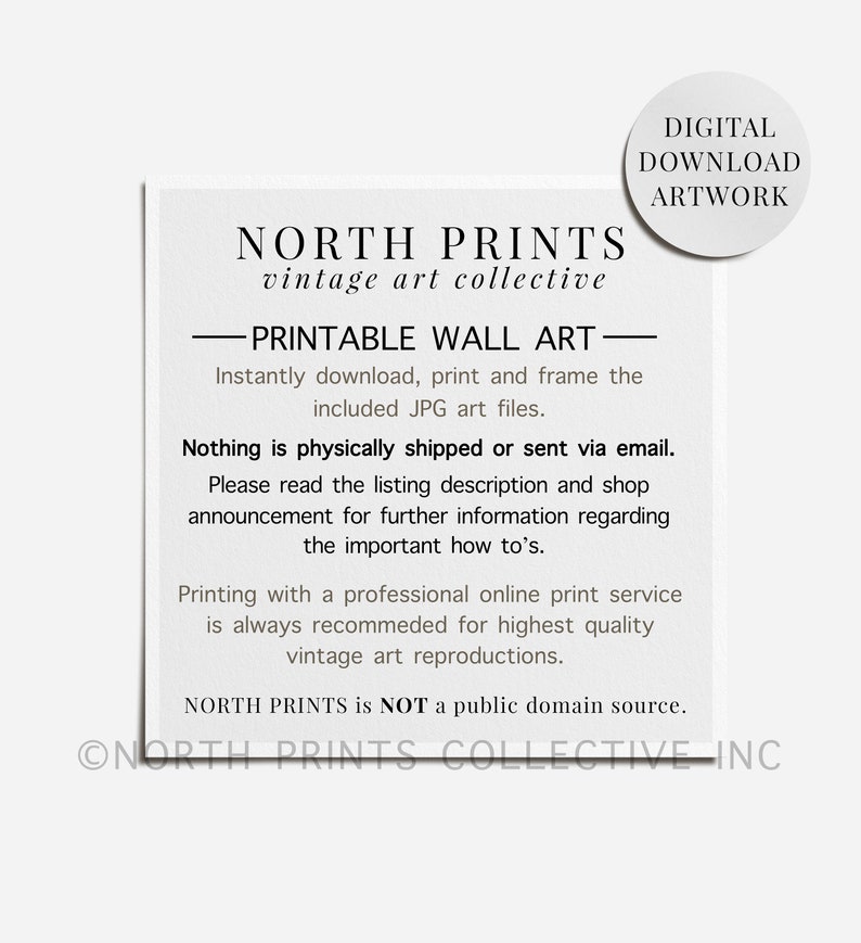 Printable Vintage Gallery Wall Art SET  Antique Prints Warm Aesthetic Decor DIGITAL  North Prints  S9 3