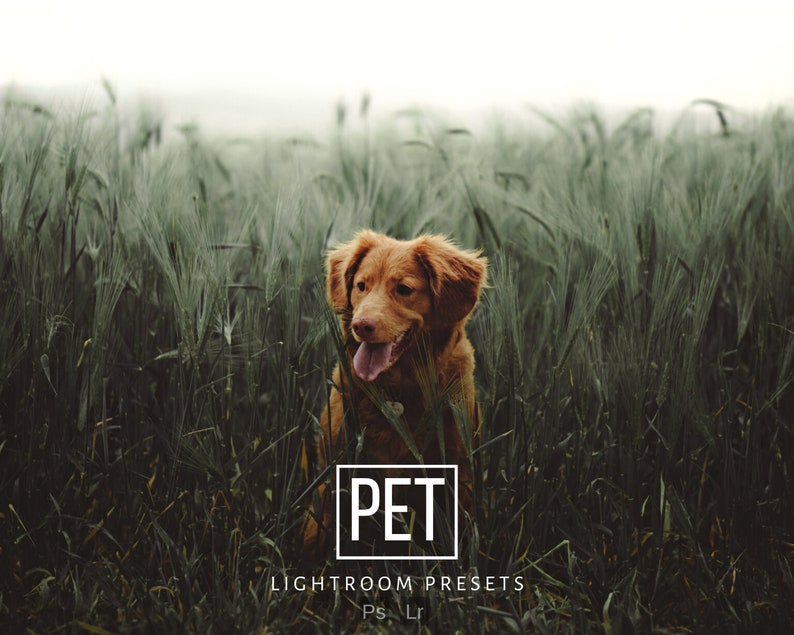15 PET Presets for Mobile and Desktop Lightroom  Dog Presets  Cat Presets  Animal Presets  Blogger Presets  Puppy Preset  Digital Download