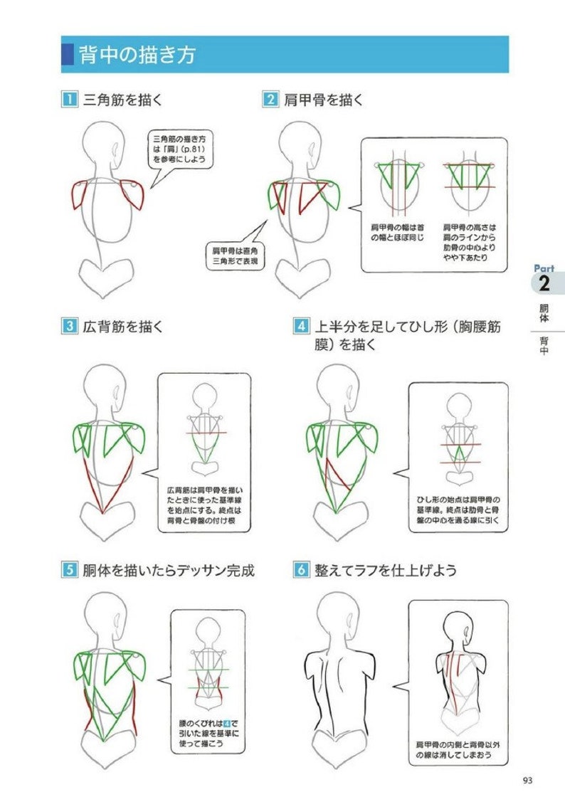 How to Draw MangaAnime Style  How to Draw the Body in Digital Illustrations  Japanese Learn to Draw eBook  PDF Instant Download