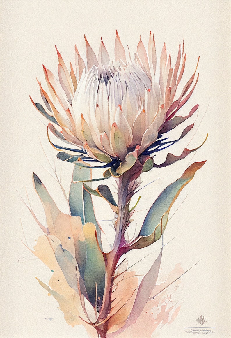 White Protea    Flower Art Print   Botanical Watercolors Illustration   Instant Digital Download   Printable Wall Art   Home Decor