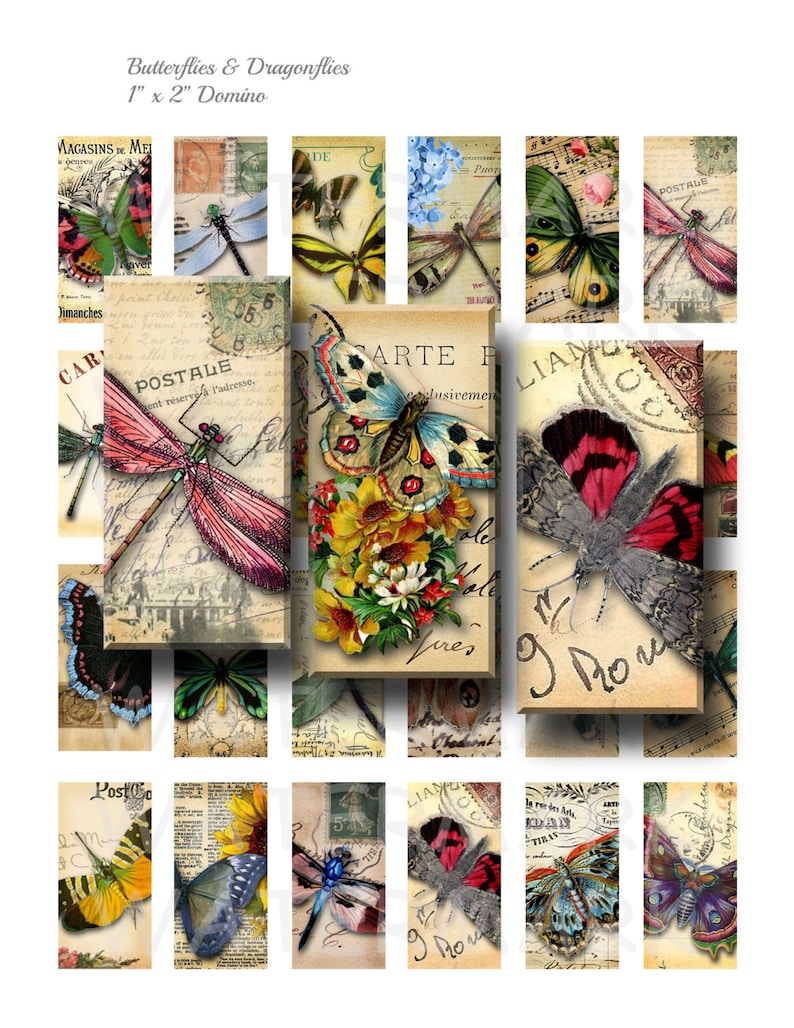 Butterflies and Dragonflies   Digital Collage Sheet   1 x 2 inch Domino   INSTANT DOWNLOAD
