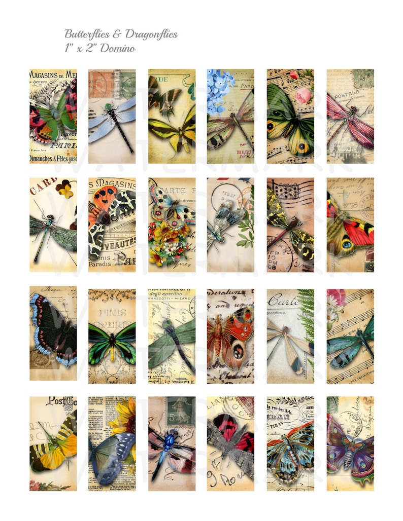 Butterflies and Dragonflies   Digital Collage Sheet   1 x 2 inch Domino   INSTANT DOWNLOAD