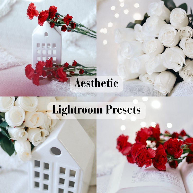 11 Aesthetic Lightroom Presets Bundle  Mobile  Desktop  Photo Editing Filters  Professional Presets  Digital Download