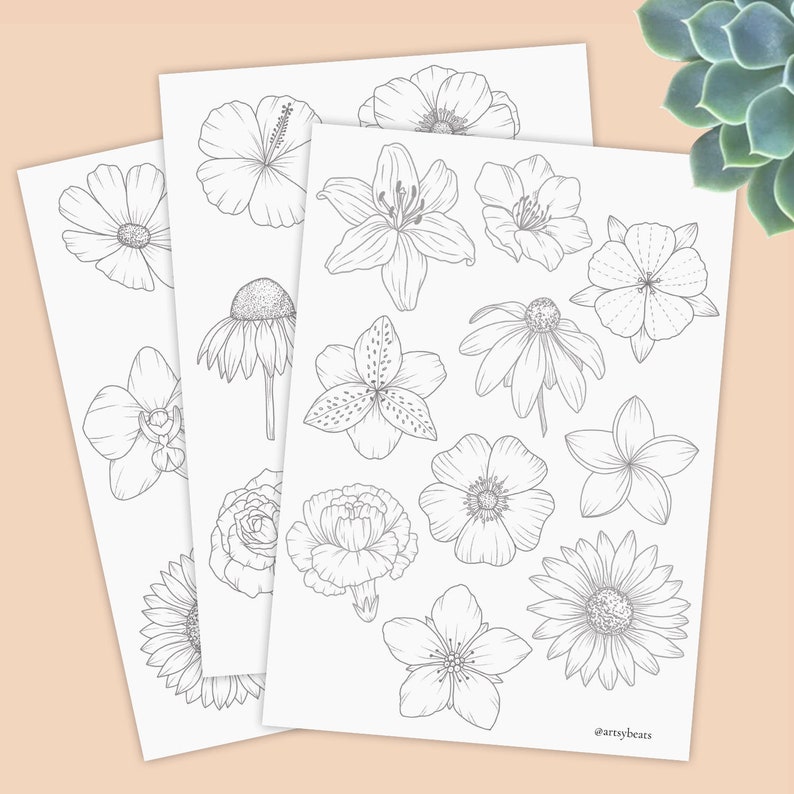Learn to draw flowers  Tracing guides  coloring pages  printable worksheet  digital download  Hibiscus  Rose  Daffodil  Anemone and more