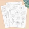 Learn to draw flowers  Tracing guides  coloring pages  printable worksheet  digital download  Marigold  Lotus  Pansy  Poppy  Daisy and more