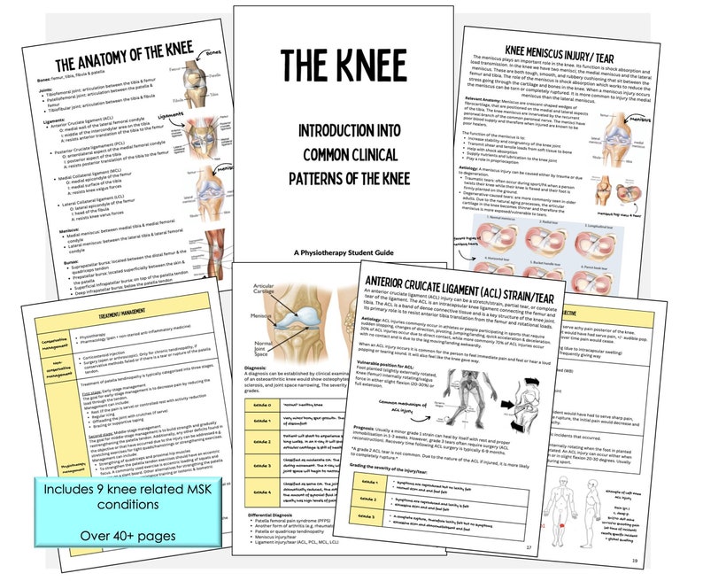 Physiotherapy Student Guide Common Clinical Patterns of the knee (MSK)