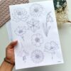 Learn to draw flowers  Tracing guides  coloring pages  printable worksheet  digital download  Marigold  Lotus  Pansy  Poppy  Daisy and more