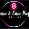 Lean and Earn Profits Online   wMRR rights attached  30 days 11 coaching