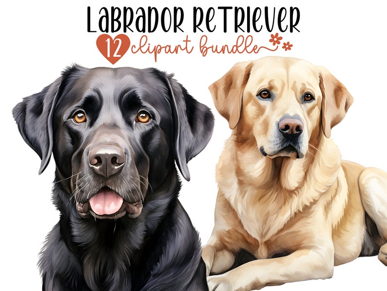 Labrador Retriever Clipart Bundle  12 High Quality PNG Files Sublimation  Digital Planner  Junk journal  Digital Download  Commercial Use